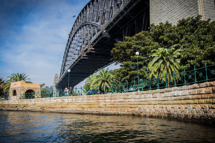 From the water, you look out to sandstone seawalls under a towering Sydney Harbour Bridge, with small tiles drilled onto them.