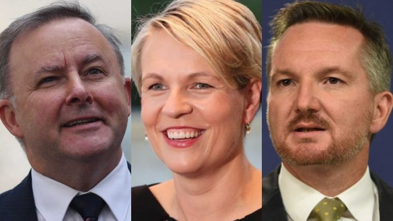 Anthony Albanese, Tanya Plibersek and Chris Bowen