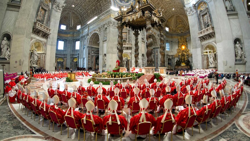 Cardinals attend a Pro Eligendo Romano Pontefice mass in St Peter's Basilica.