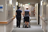 Nurses wheel a patient down a hallway in a Brisbane nursing home.