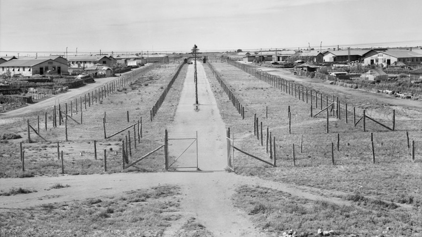 black and white image of a field with wire fences throughtout and homes on either side