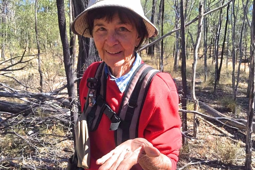 Queensland prospector Angela Wells