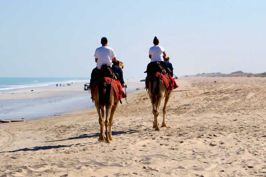 Jade Trevenen and Jack Foley put camels through their paces at Cable Beach.