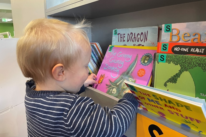 A young boy picks up a children's book off a library shelf.