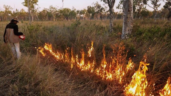 Traditional Owner Darren Sambono carrying out a controlled cool season burn in the Northern Territory.