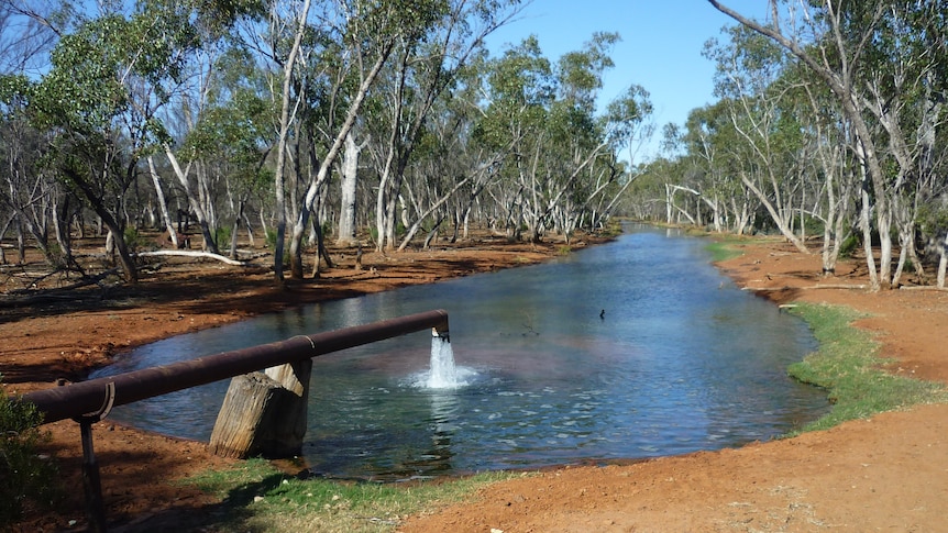 A free flowing bore pushing fast flowing water into a bore drain