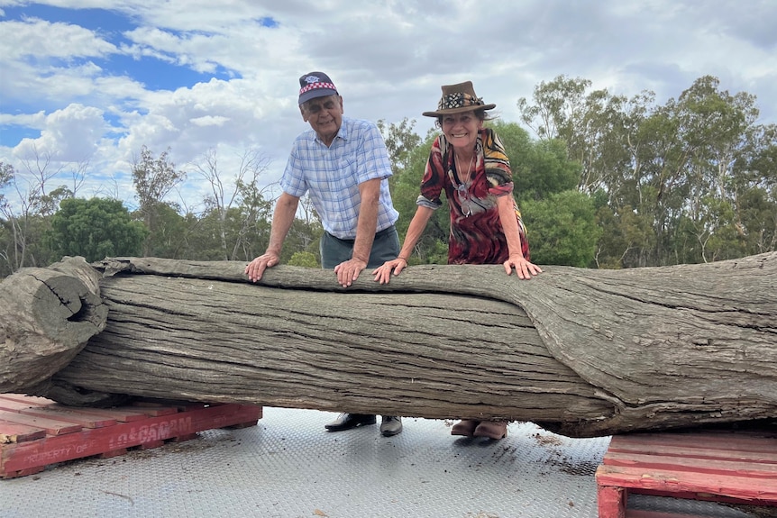 A man and woman stand with an Aboriginal scar tree