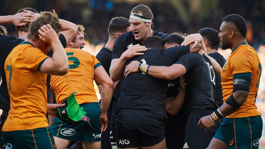 All Blacks players celebrate a try against the Wallabies.