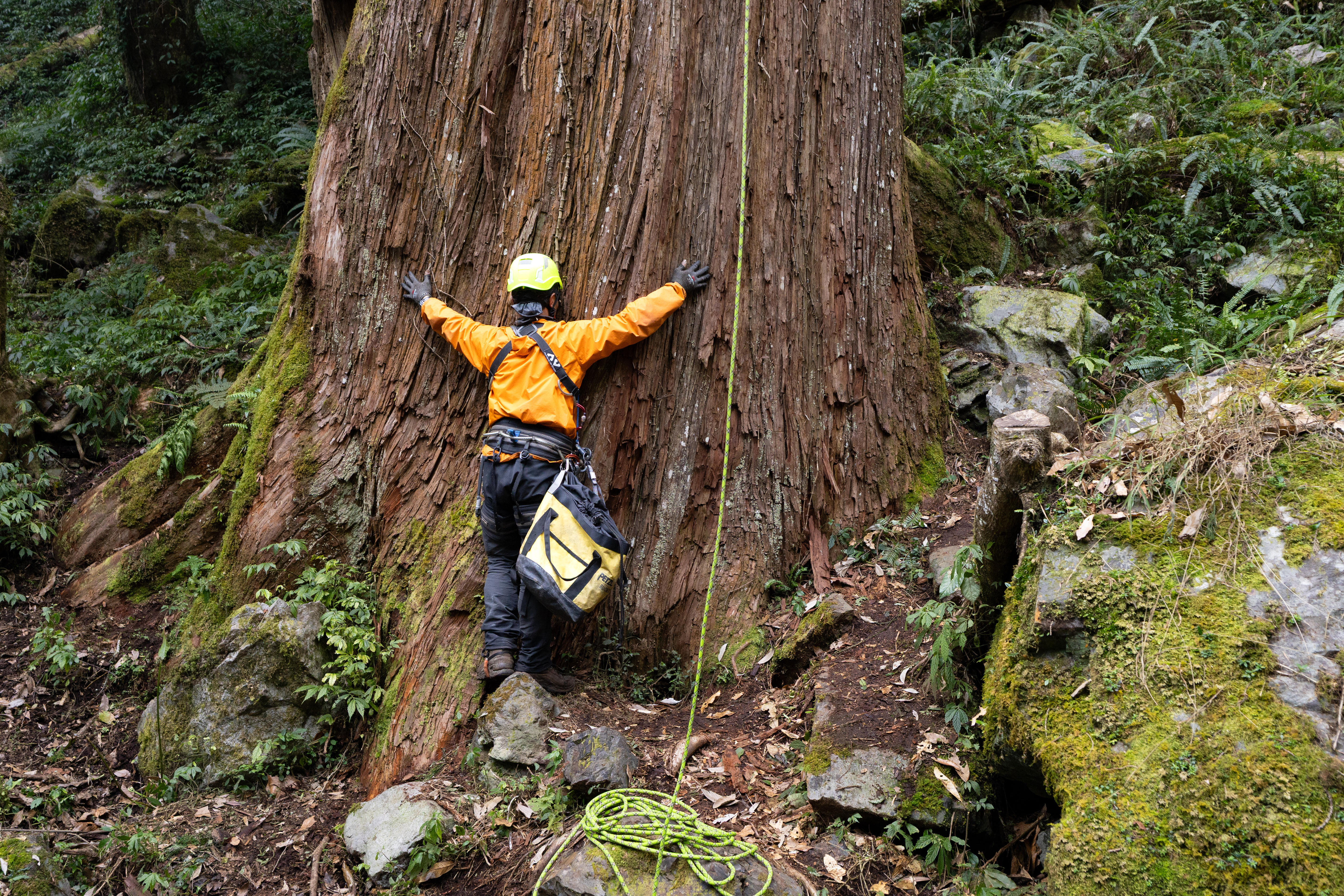 Un hombre con suéter naranja y cuerdas para escalar reza con un árbol con abrazos.