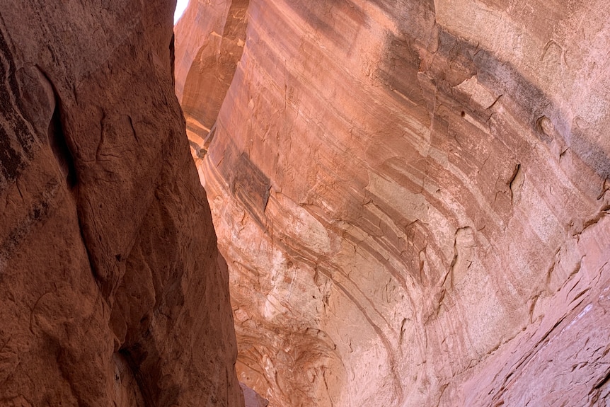 Walls of red rock.