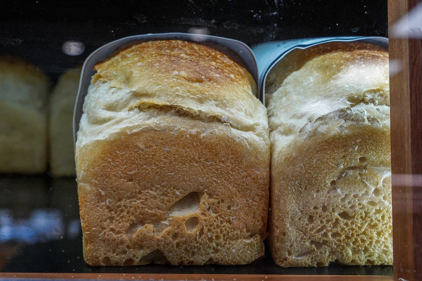 Loaves of bread in bakery