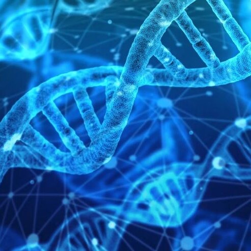 Blue and black computer graphic of DNA 