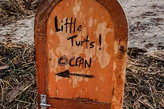 A damaged wooden door used as a makeshift sign with the words, Little Turts, Ocean.