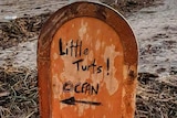 A damaged wooden door used as a makeshift sign with the words, Little Turts, Ocean.