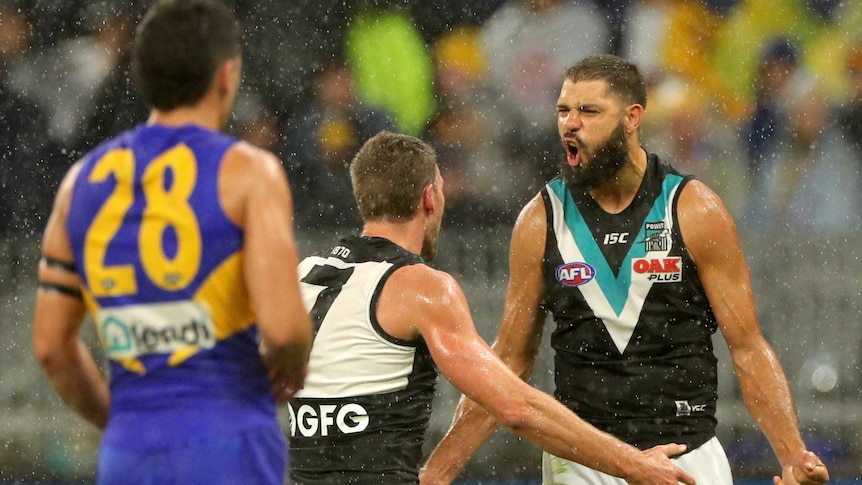 AFL teammates celebrate a goal and an opposing player watches as the rain falls.