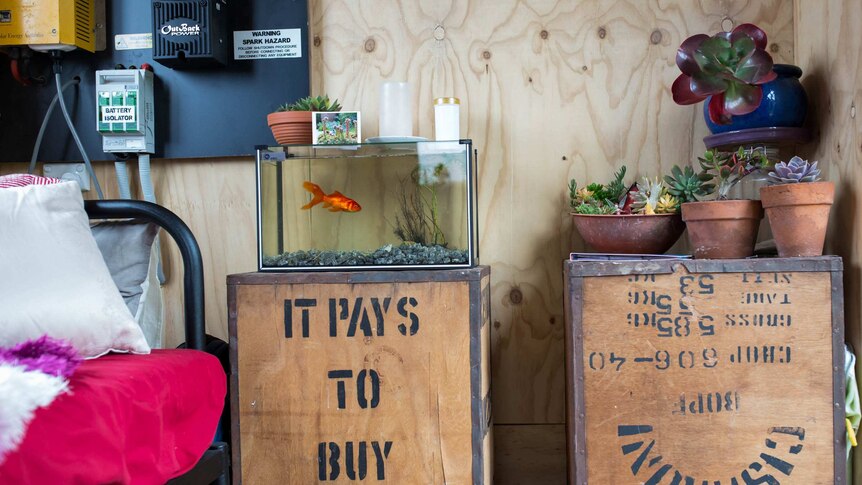 A fish bowl sits on a tea chest.