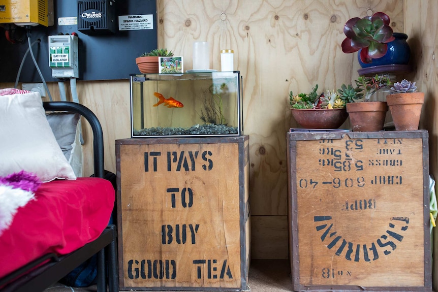 A fish bowl sits on a tea chest.