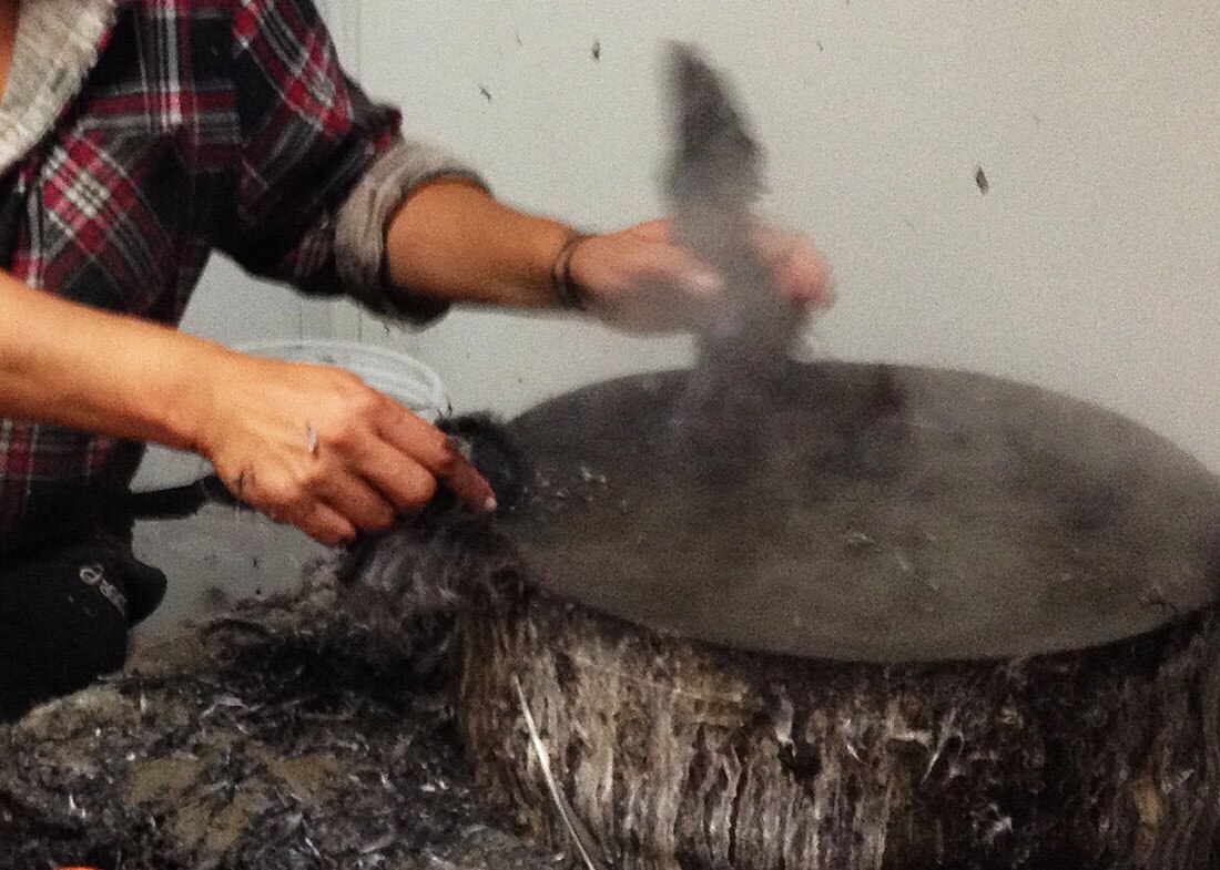 Hands holding mutton bird wings in steam and pot of boiling water