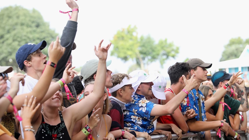Dozens of music fans with their hands in the air enjoy an outdoor music festival