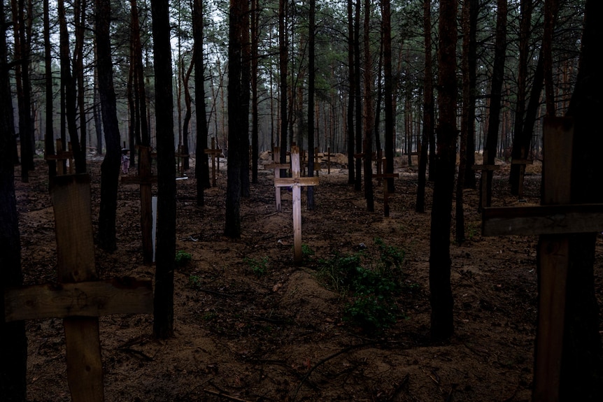 Small, simple white wooden crosses are stuck into the ground in a dark forest.