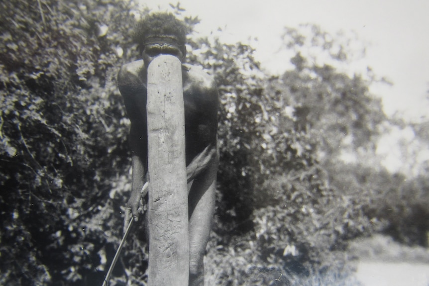 An Aboriginal man stands behind a thin softwood shield in a black and white photo taken in the 1930s