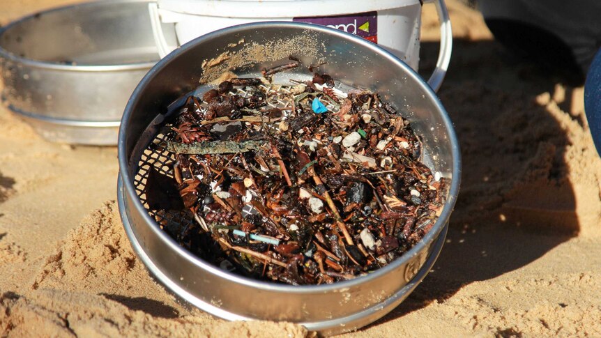 A sieve fill of marine debris and microplastics.