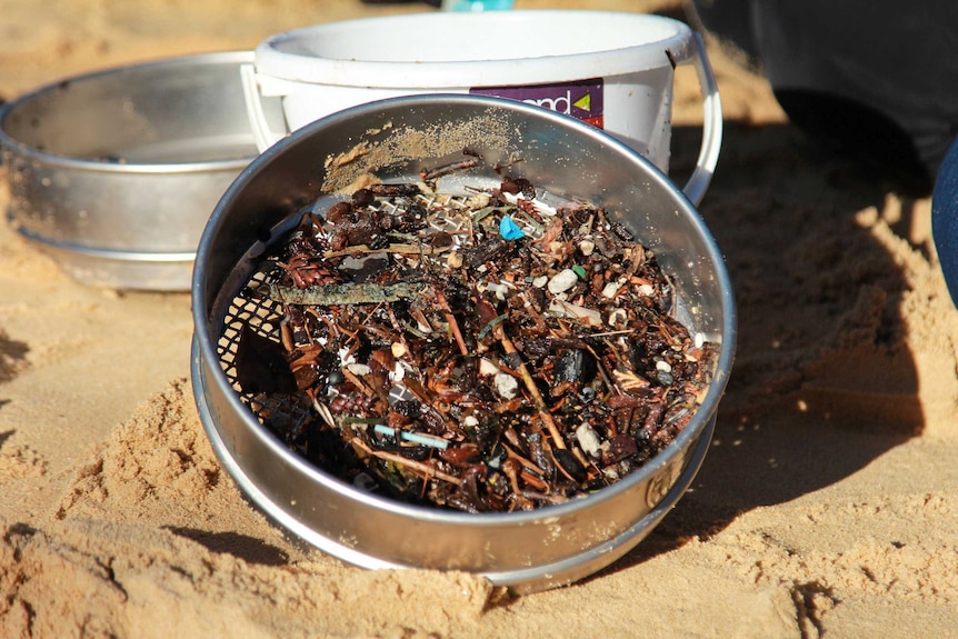 A sieve fill of marine debris and microplastics.