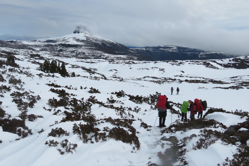 People in hiking gear in very white, snowy terrain with a mountain in the distance