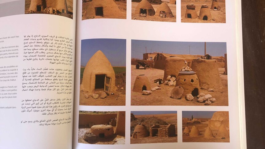 An open book with multiple photos of domed mud brick homes, each of varying shapes.