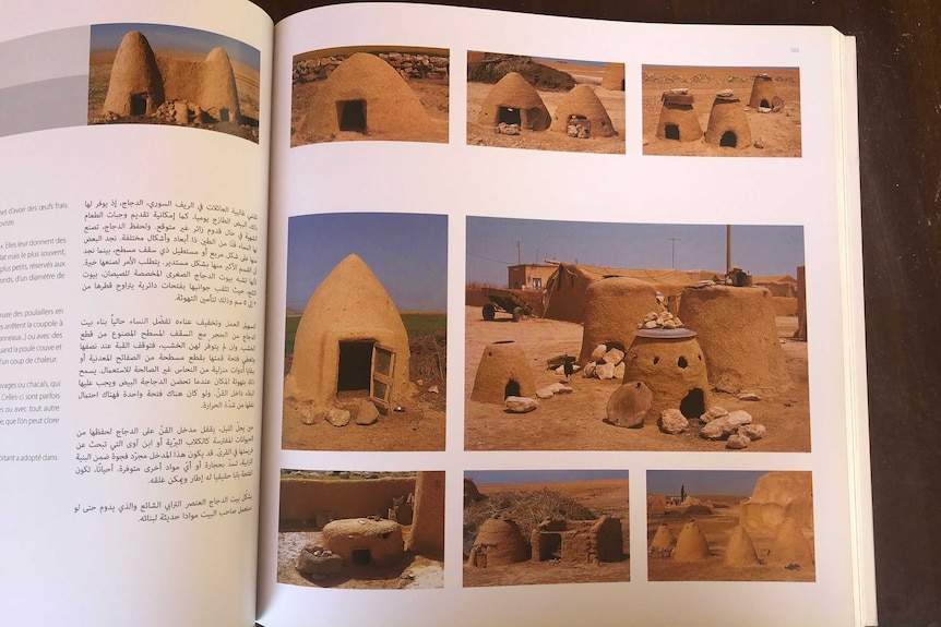 An open book with multiple photos of domed mud brick homes, each of varying shapes.