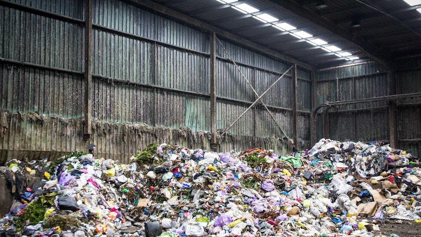 Piles of rubbish sit inside a metal shed.