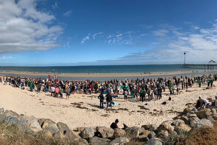 People standing on a beach