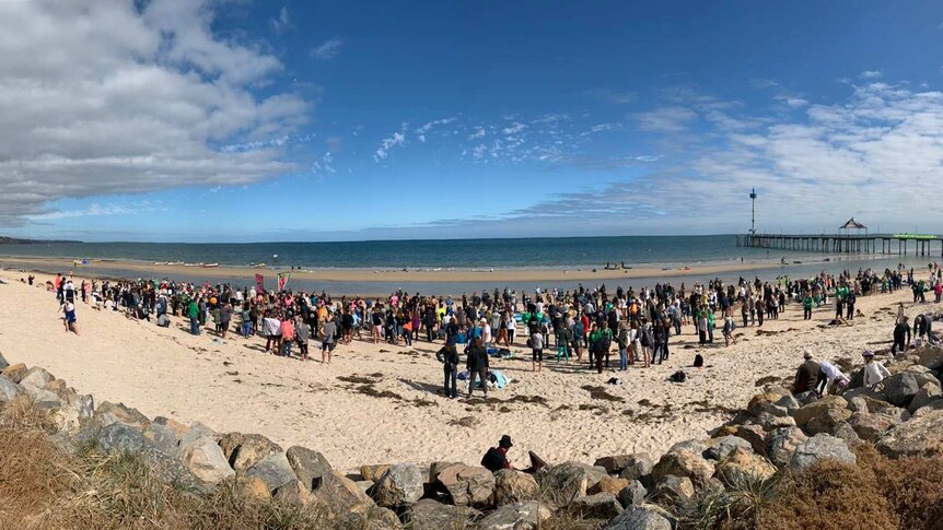 People standing on a beach