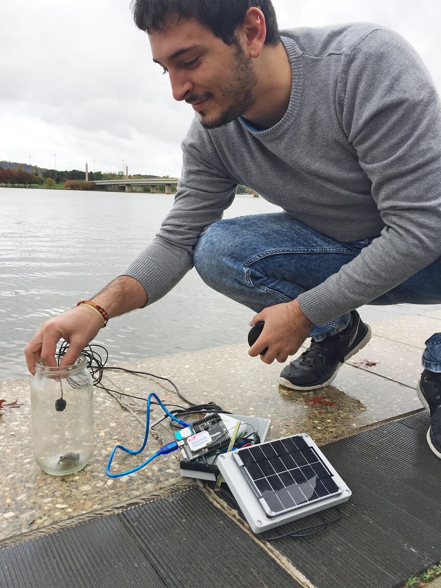 University of Canberra researcher Lorenzo Bertolelli with a frog monitoring device.