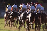 Horses race out of the straight (file)