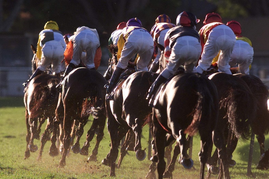 Horses race out of the straight