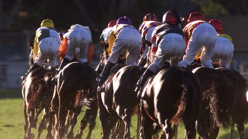 Horses race out of the straight (file)