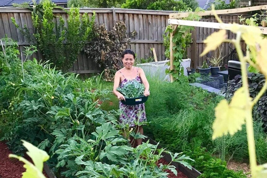A woman stands in a large garden between rows of green, leafy plants, holding a bowl of leafy vegetables.