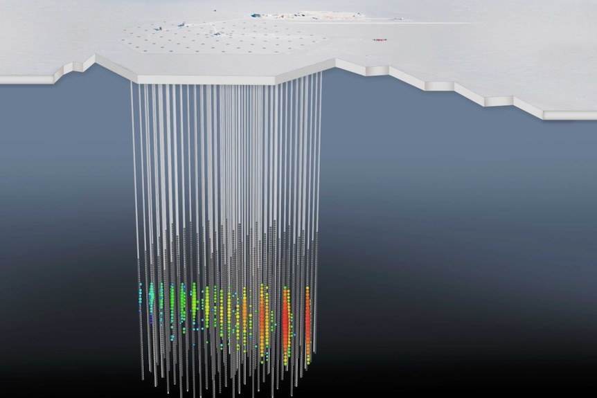 IceCube detector and neutrino light pattern.
