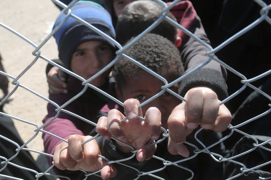 Small children clutch a chain link fence