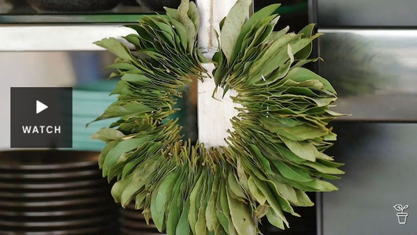 A wresth made of bay leaves. Has Video.