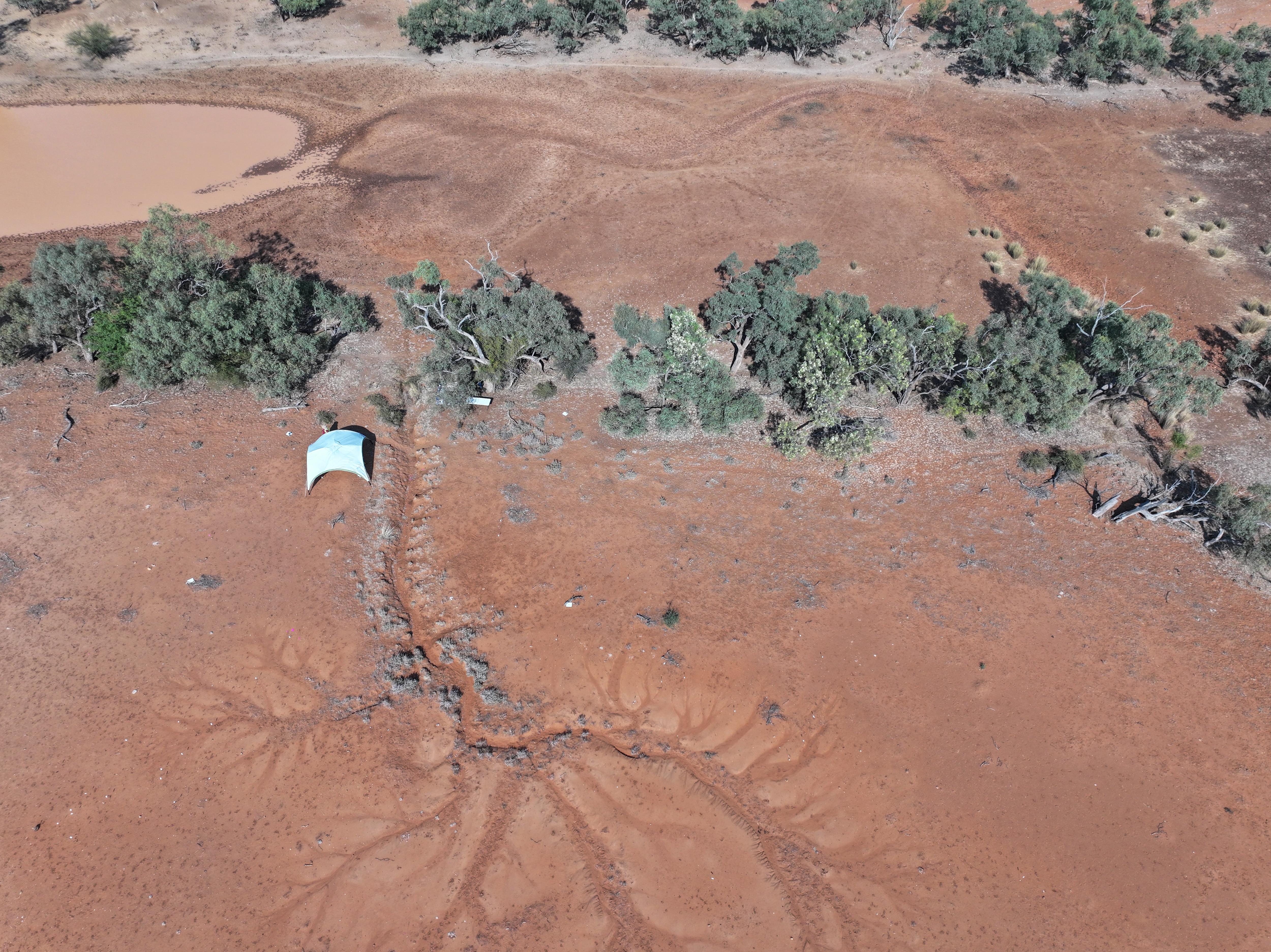 an aerial shot of a dig site in the red-brown desert, a single white tent sits next to a dry riverbed