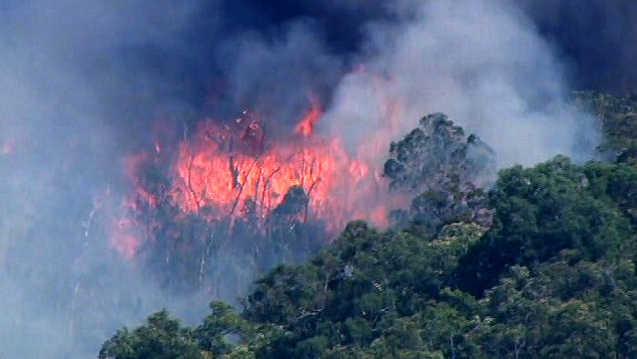 An aerial shot of a bushfire burning through bushland.