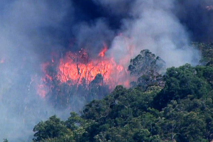 An aerial shot of a bushfire burning through bushland.