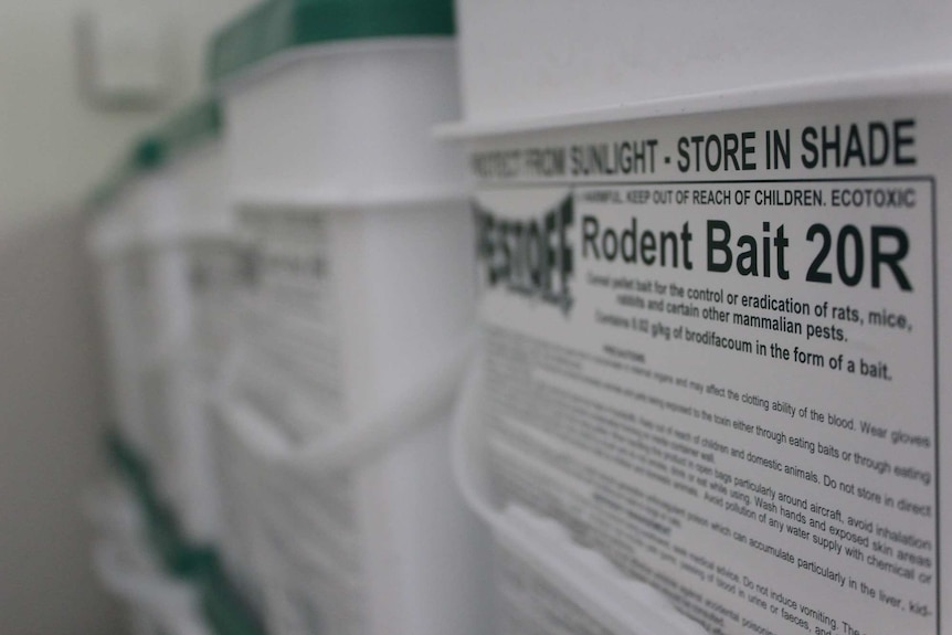 Close up of the label on a box of rat poison. Label reads "Rodent Bait 20R".