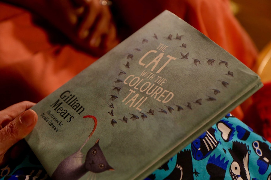 The front cover of The Cat with the Coloured Tail