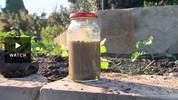 A jar in a garden filled with a mixture of soil and water. Has Video.