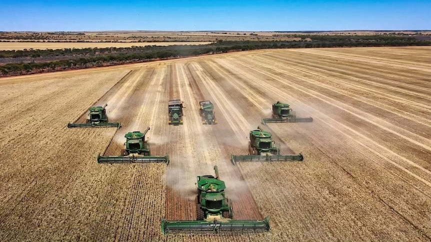 Five green harvesters working in a paddock. 