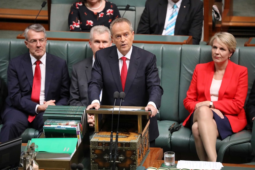 Standing at a lectern, Bill Shorten speaks as his Cabinet members sit behind him on green chairs.