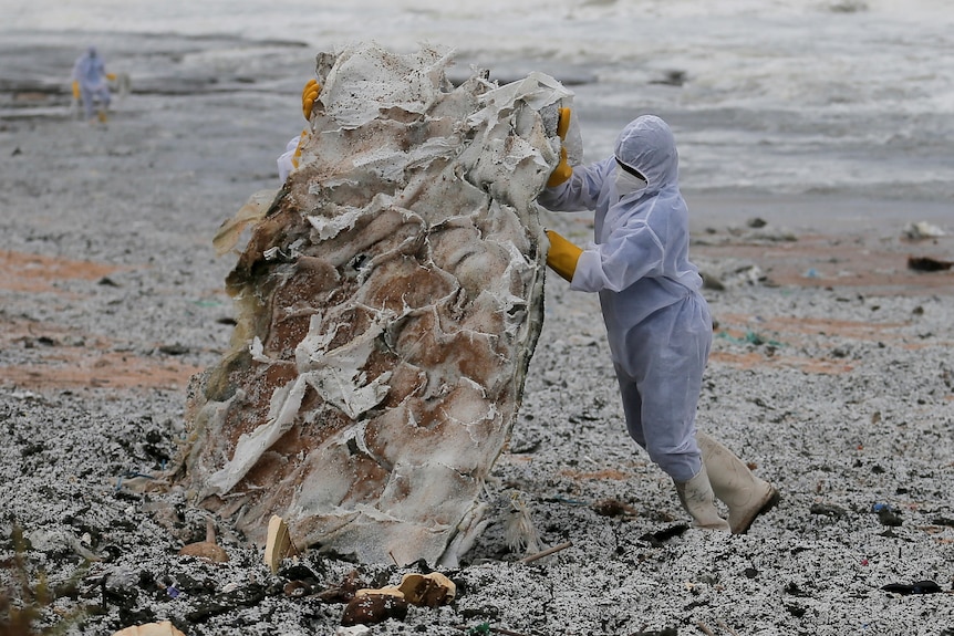 A navy soldier dressed in personal protection equipment pushes a large piece of debris up the beach